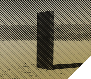 Early Stage Development