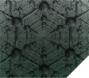 Corporate Structure & Expansion